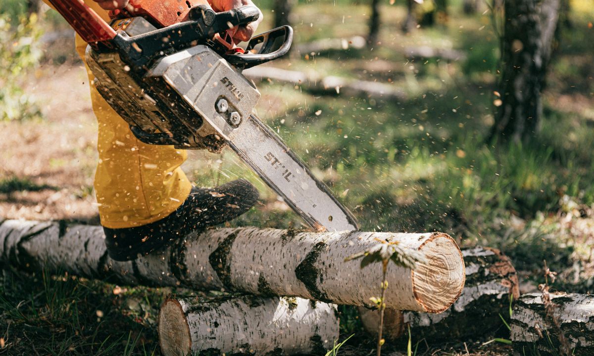 Wood Carving for Beginners A Step-by-Step Guide to Getting Started